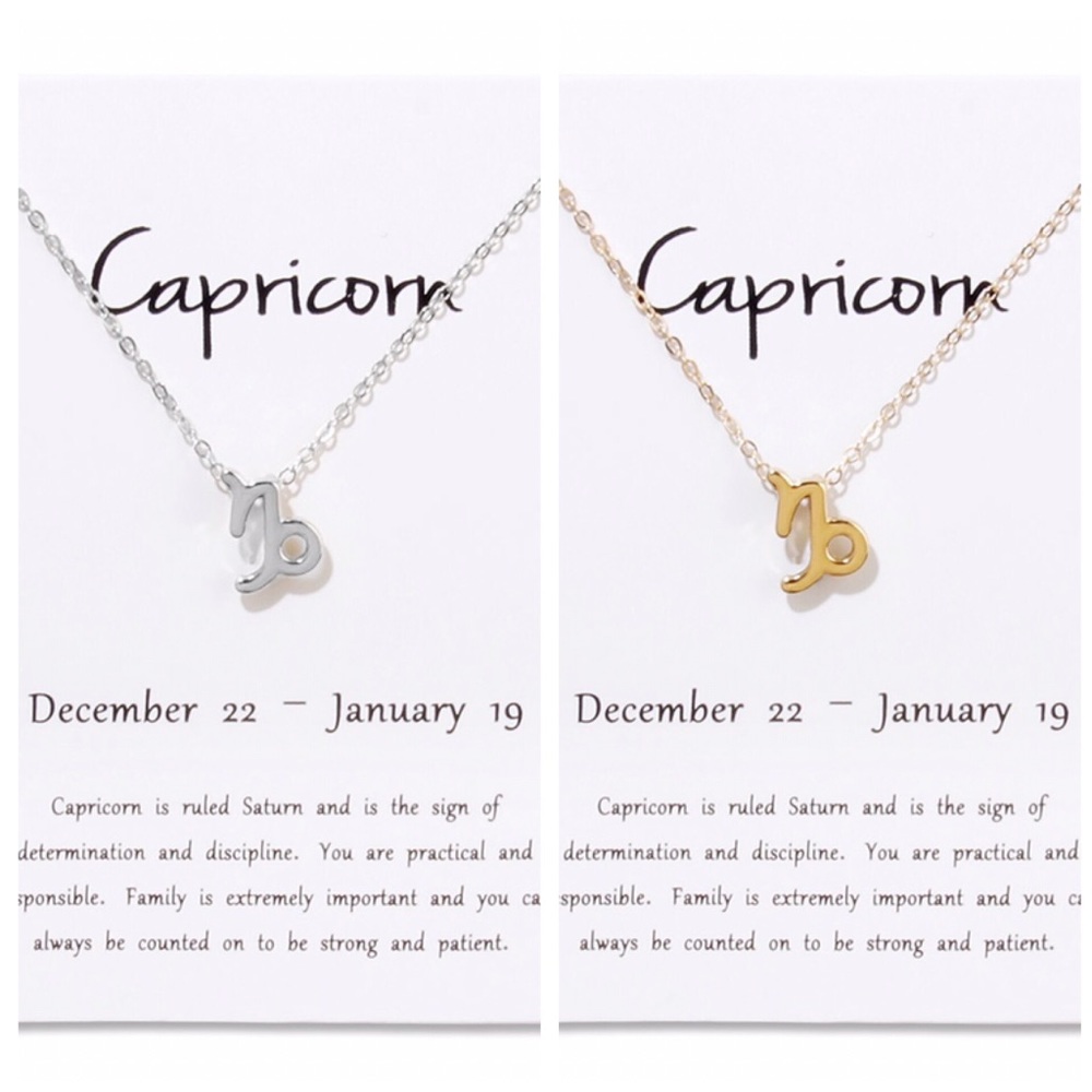 Capricorn ♑️ Zodiac Sign Necklace